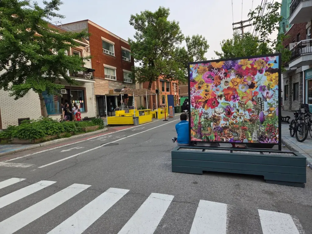 rue marcher sdc quartier villeray